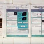 Grundlagenforschung zur Funktionstestung von Blutplättchen