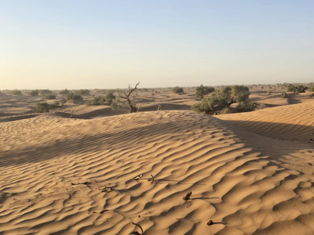 Die Sahara im süden Marokkos an der Grenze zu Algerien