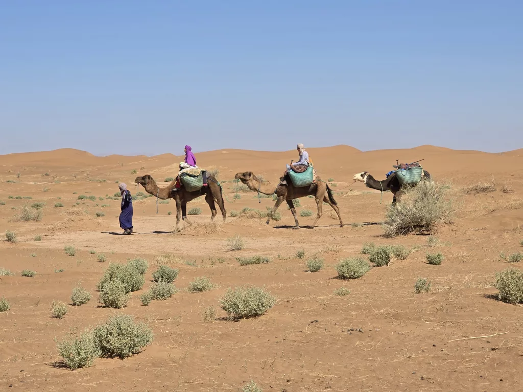 Die Karawane zieht schweigend durch die Wüste